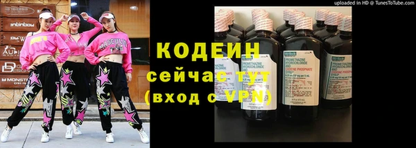 2c-b Заводоуковск