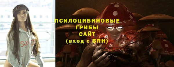 2c-b Заводоуковск
