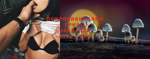 2c-b Заводоуковск