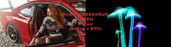 2c-b Заводоуковск