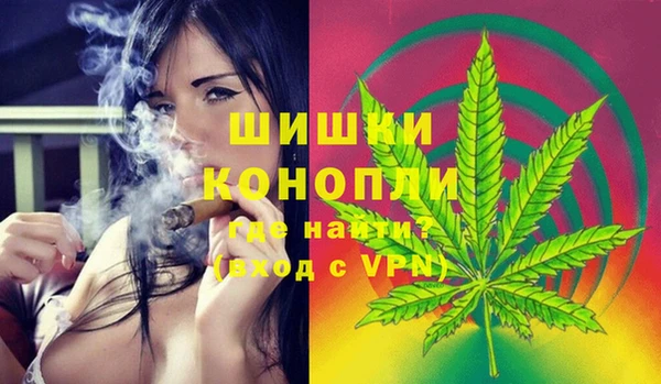 2c-b Заводоуковск