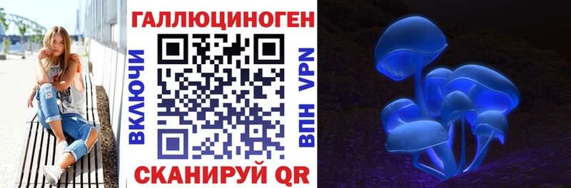 Галлюциногенные грибы Psilocybe  Купить закладки  Кадников 
